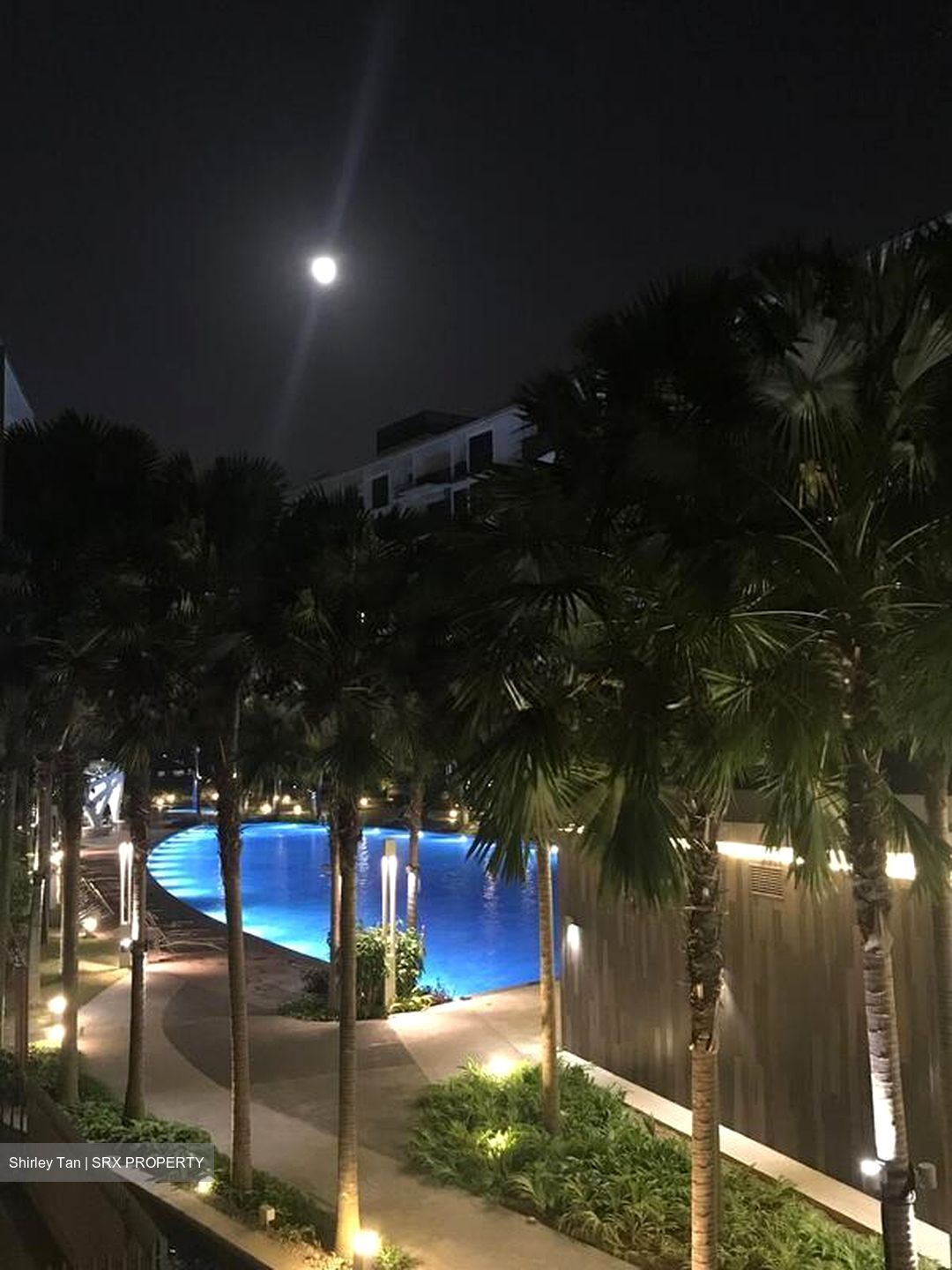The Inflora (D17), Condominium #516974361